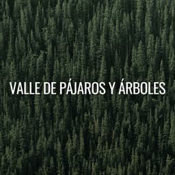 Valle De Pájaros Y Árboles - Sonidos De Pajaros