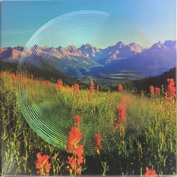 Birds Creek - Forest Sounds