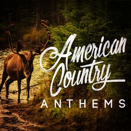 American Country Anthems - Country Rock Party