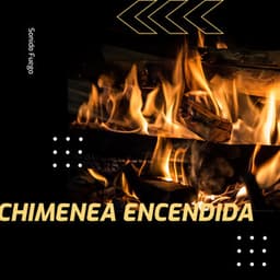 Chimenea Encendida - Prince Sereno