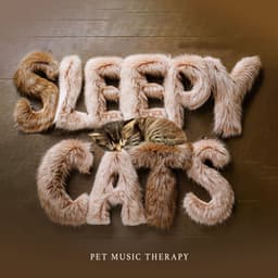 Sleepy Cats - Pet Music Therapy
