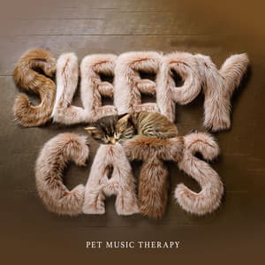 Sleepy Cats - Pet Music Therapy