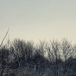 GN / Scanner - Geins't Naït