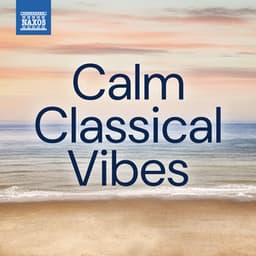 Calm Classical Vibes - Erik Satie