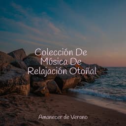 Colección De Música De Relajación Otoñal - Chillout Lounge