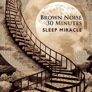 Brown Noise 30 Minutes: Sleep Miracle - Brown Noise Aid Sleep