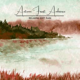 Autumn Forest Ambience - Relaxing Soft Rain, Helps Insomnia & Anxiety, Healing Meditation Sounds of Nature, Deep Sleep Music - Serenity Stream