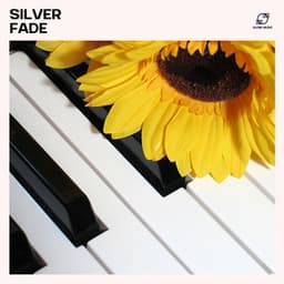 Silver Fade: Piano Meditation Music - Acoustic Piano Collective