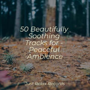 50 Beautifully Soothing Tracks for - Peaceful Ambience - kinderliedjes
