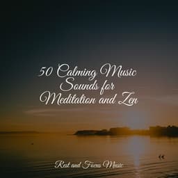 50 Calming Music Sounds for Meditation and Zen - Música relaxante
