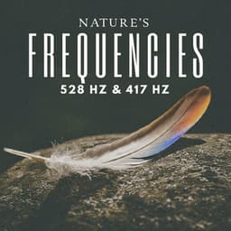 Natures Frequencies 528hz & 417hz - Natural Frequencies