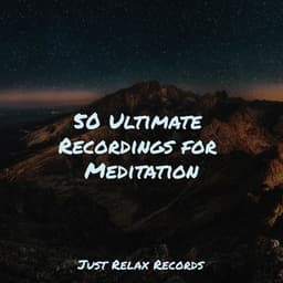 50 Ultimate Recordings for Meditation - Mantra para Dormir