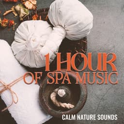 1 Hour of Spa Music: Calm Nature Sounds, Water and Birds for Massage and Chiropractic Parlor - Relaxing Spa Music Zone
