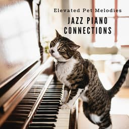Elevated Pet Melodies: Jazz Piano Connections - Jazz Piano Instrumentals