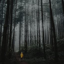 #50 Soothing Sounds of Rain for Sleep and Tranquility - Nature Sounds