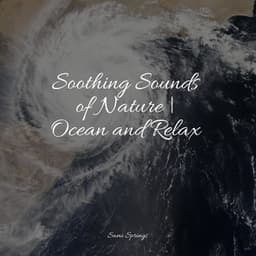 Soothing Sounds of Nature | Ocean and Relax - Sleep Rain