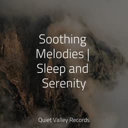 Soothing Melodies | Sleep and Serenity - Sleep Sound of Nature