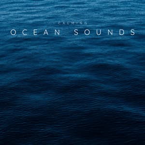 Calming Ocean Sounds - Sea Sounds Channel