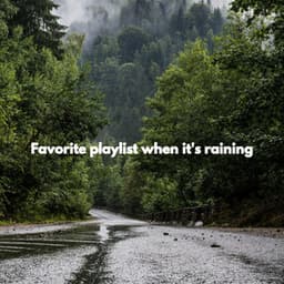Favorite playlist when it's raining - Morning Calm Playlist