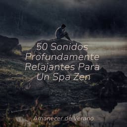 50 Sonidos Profundamente Relajantes Para Un Spa Zen - Sonidos De Truenos y Lluvia