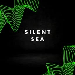 Silent sea - Gary Winter