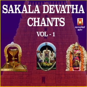 Sakala Devatha Chants, Vol. 1 - D.V. Ramani