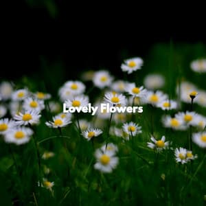 Lovely Flowers - Easy Jazz Listening
