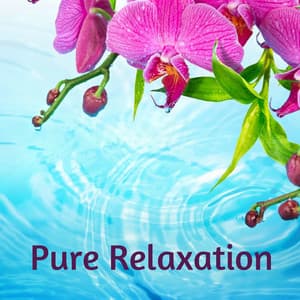 Pure Relaxation - Granular
