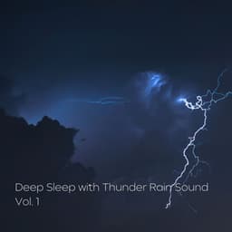 Deep Sleep with Thunder Rain Sound Vol. 1 - The Deep Sleep Music Academy