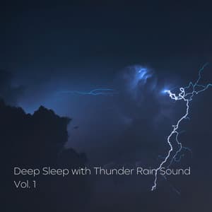 Deep Sleep with Thunder Rain Sound Vol. 1 - The Deep Sleep Music Academy