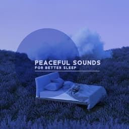 Peaceful Sounds for Better Sleep: Cure Your Insomnia and Anxiety, Calm Instrumental Songs, Stay Calm Before Sleep - Deep Sleep Music Society