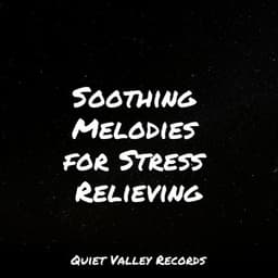 Soothing Melodies for Stress Relieving - Loopable Rain Sounds