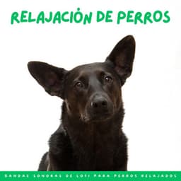 Relajación De Perros: Bandas Sonoras De Lofi Para Perros Relajados - Ritmos de hip-hop de Lofi