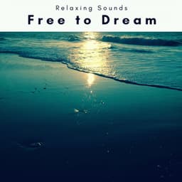 Free to Dream - Sleep Magic