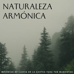 Naturaleza Armónica: Melodías De Lluvia En La Azotea Para Tus Mascotas - Club de música Lofi