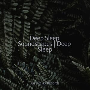 Deep Sleep Soundscapes | Deep Sleep - Lucid Dreaming World-Collective Unconscious Mind