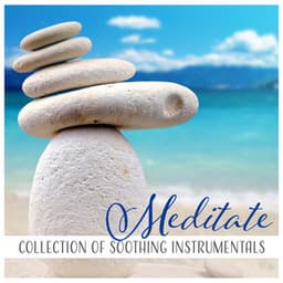 Meditate - Calming Sounds Sanctuary