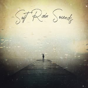 Soft Rain Sounds: Insomnia Solutions - Yoga Relaxation Music