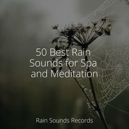 50 Best Rain Sounds for Spa and Meditation - Rain Sound Studio