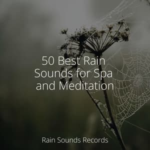 50 Best Rain Sounds for Spa and Meditation - Rain Sound Studio