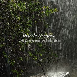 Drizzle Dreams: Soft Rain Sounds for Mindfulness - Rain relax