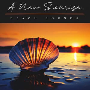 A New Sunrise - Beach Sounds