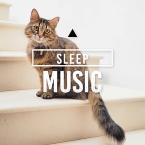 Sleep Music - Cat Music
