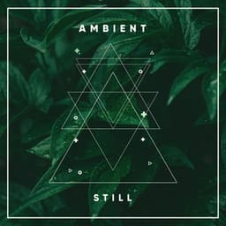 Ambient Still - The Sound Reserve