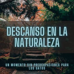 Descanso En La Naturaleza: Un Momento Sin Preocupaciones Para Los Gatos - Chico binaural