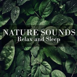 Nature Sounds for Relax and Sleep - Natural Sounds By Beneluxa