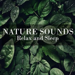Nature Sounds for Relax and Sleep - Natural Sounds By Beneluxa