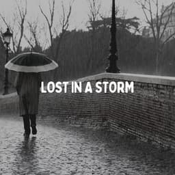 Lost in a Storm - Rainfall Place