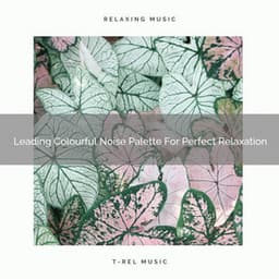 Leading Colourful Noise Palette For Perfect Relaxation - Baby Rain Sleep Sounds