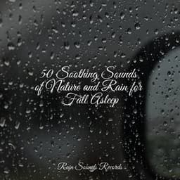 50 Soothing Sounds of Nature and Rain for Fall Asleep - Ocean Sounds